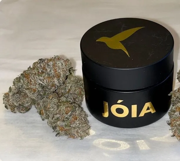 Black Jóia jar with a gold bird mark beside cured flower